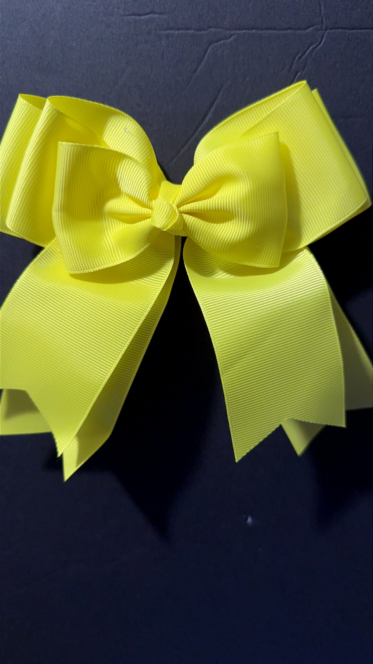 Neon Bows/ Lazos Color Neon