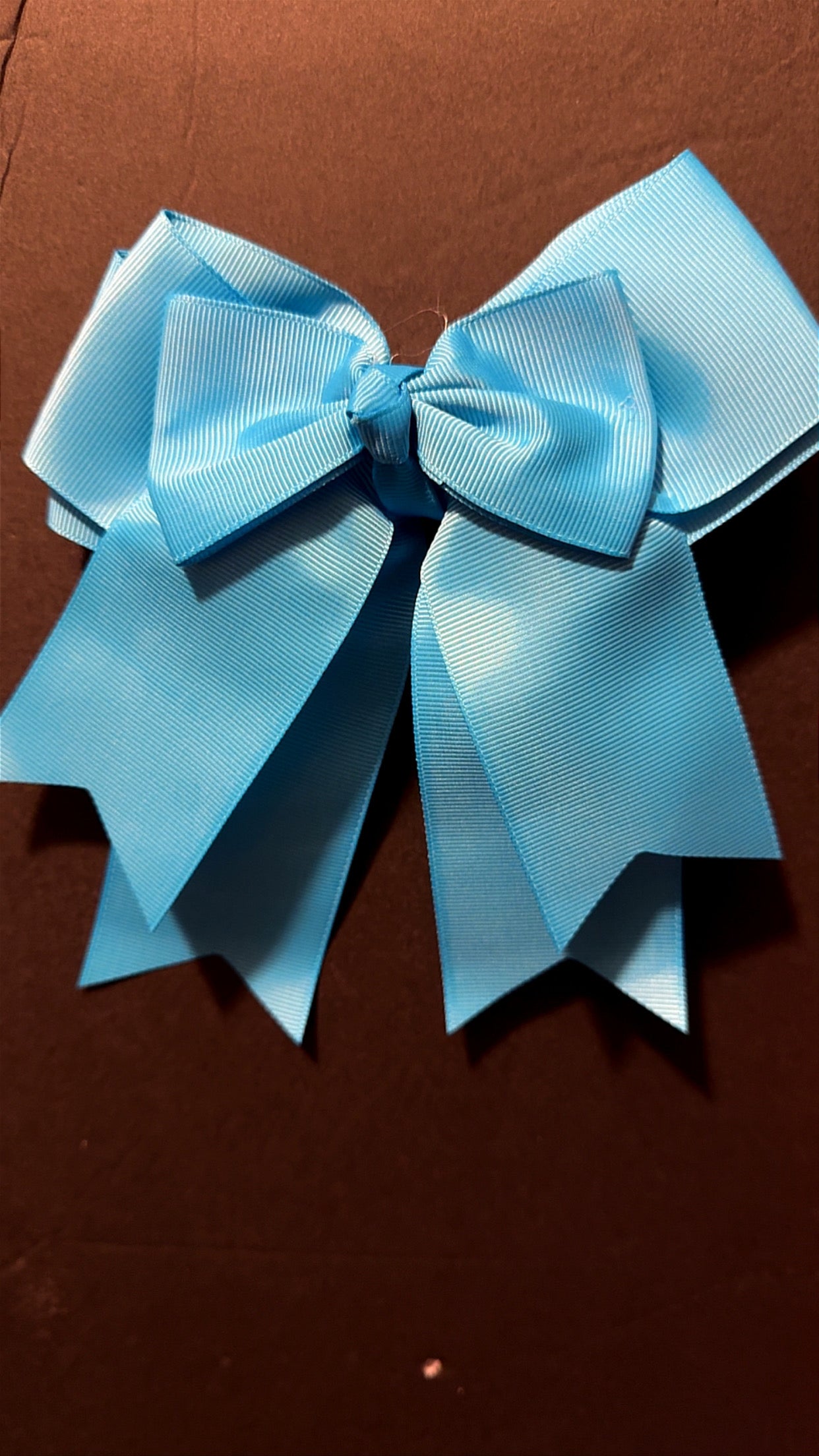 Neon Bows/ Lazos Color Neon