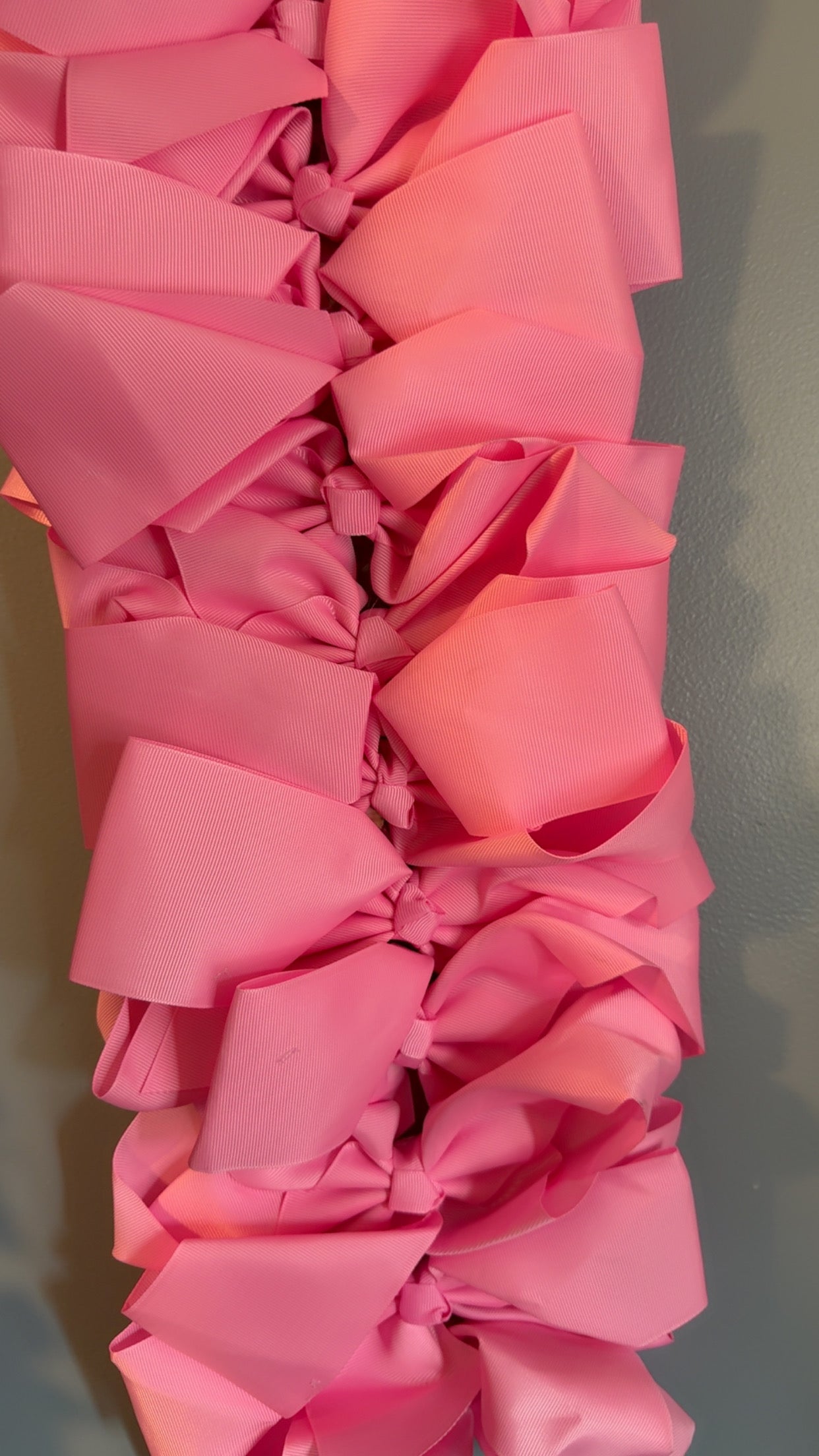 Plain Bows